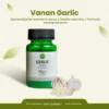 Czosnek w kapsułkach Garlic Allium Sativum 60 kapsułek 30 g